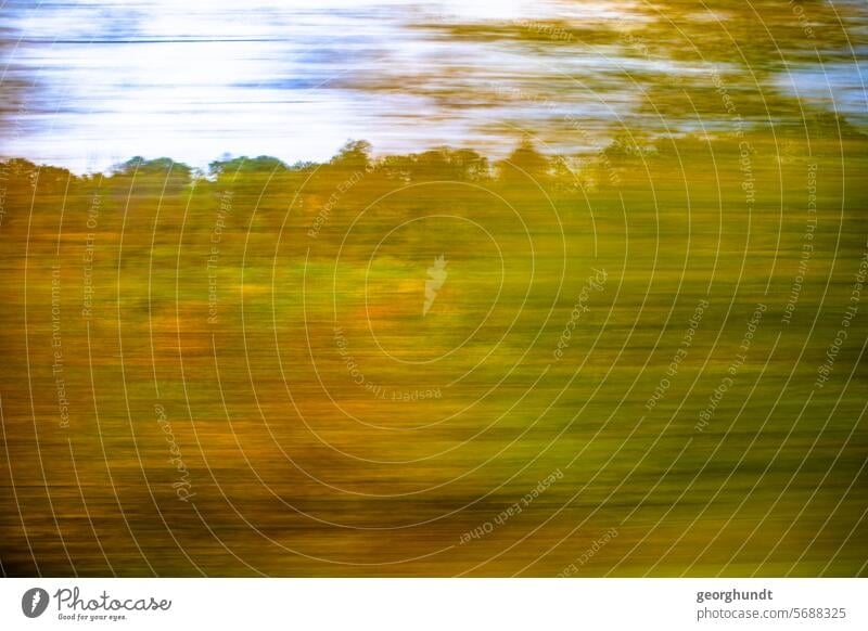 Passing a landscape with forest in early fall, blurred. drive past hazy Movement motion blur Meadow Forest trees Nature Landscape Deserted Exterior shot