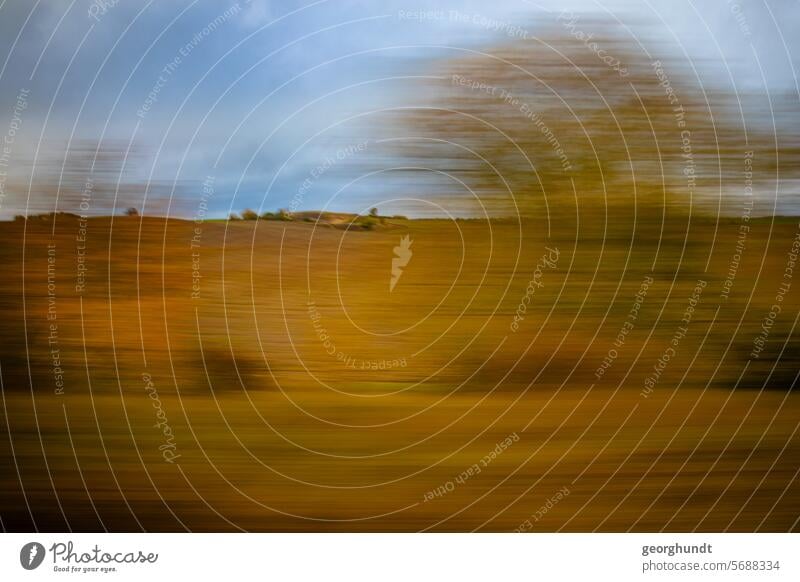 Passing a landscape with forest in early fall, blurred. drive past hazy Movement motion blur Meadow Forest trees Nature Landscape Deserted Exterior shot