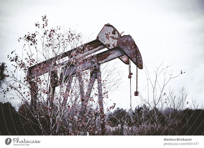 An old pumpjack, sometimes called a "grasshopper" oil pump somewhere in Texas rural texas machine industrial drill drilling rusty extraction petroleum abandoned