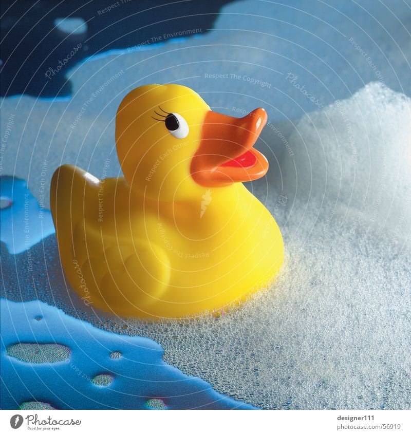 squeaky duck Bathtub Toys Squeak duck Yellow Wet Foam Soap Swimming & Bathing Shower tub Events Childlike Cold Physics Romance Duck Water Blue Bubble bath