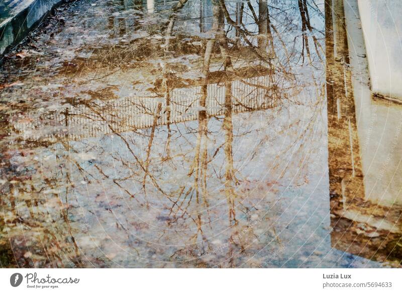 Reflection of parts of buildings and bare trees in a fountain Wet Sky Rain reflection Water Winter Puddle Building Mirror image Water puddle Water reflection