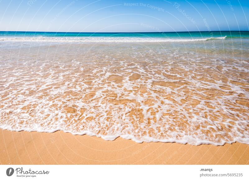 beach Ocean Waves Freedom Tourism Summer vacation Cloudless sky Beautiful weather Sand Sky Relaxation Beach Horizon Nature Far-off places Vacation & Travel
