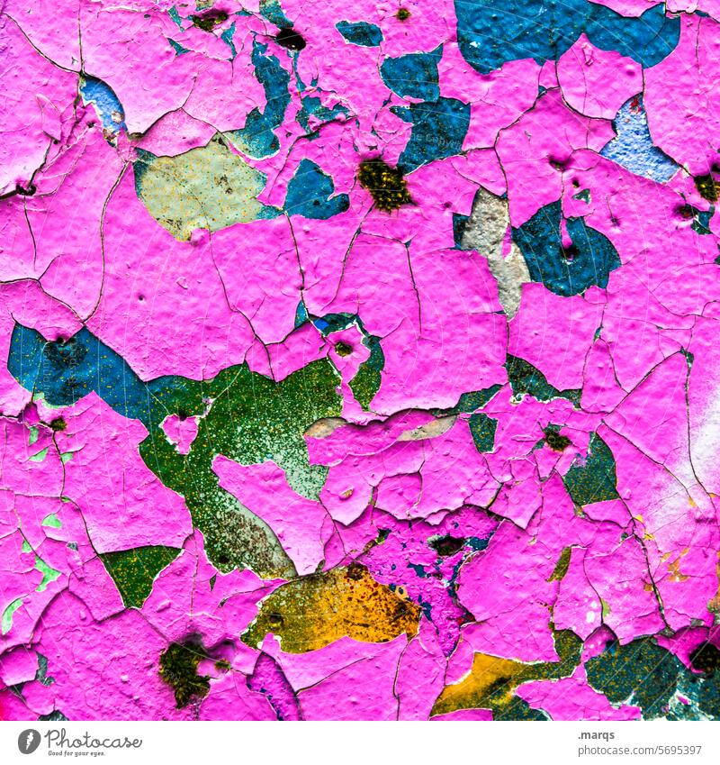 Torn pink Structures and shapes Varnish Flake off Colour Wall (building) Change Broken Background picture Decline Old Dye Pink Weathered Pattern Detail