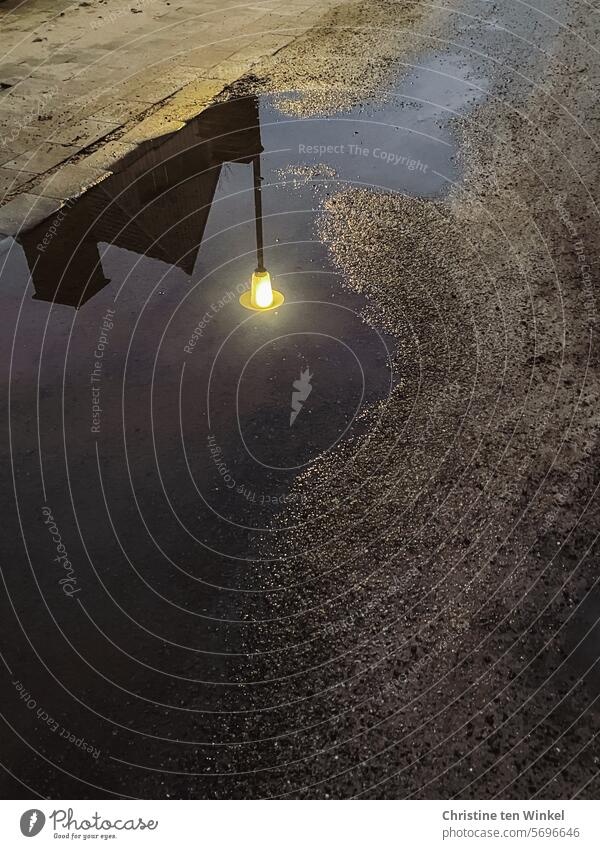 Street lamp and house reflected in a puddle Puddle puddle mirroring puddle picture after the rain Wet Reflection streetlamp Twilight