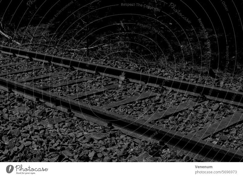 Analog black and white photograph, old unused railroad tracks in a forest Analogue photo analogue photography analog photography analog image Analogue picture