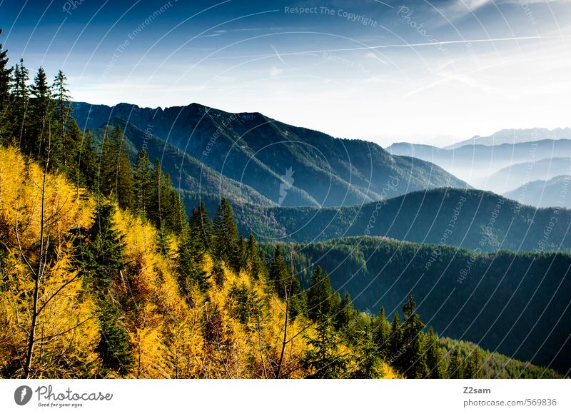 autumn panorama Mountain Hiking Environment Nature Landscape Autumn Beautiful weather Tree Bushes Forest Hill Alps Sustainability Natural Above Blue Yellow