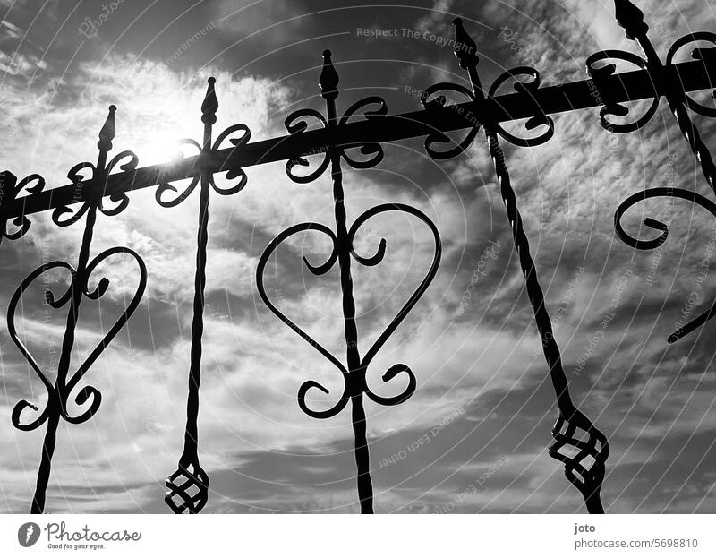 Hearts on the fence against the light Heart-shaped heart-shaped Love Vacation good wishes Vacation mood Declaration of love Romance Loyalty affectionately