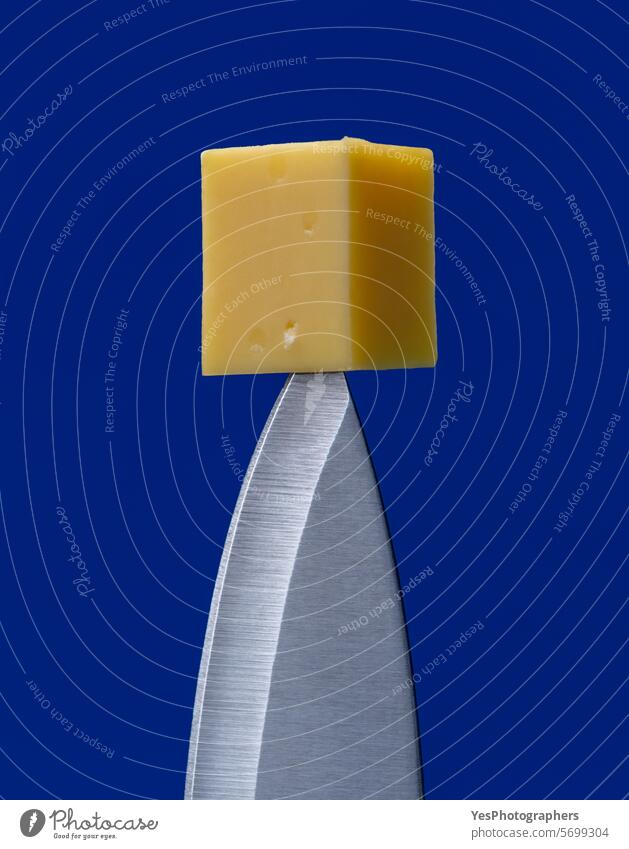 Cheese on tip of knife, close up, minimalist on a blue background abstract blade bright cheese chrome color copy space cube8 cut cut out delicious details edge