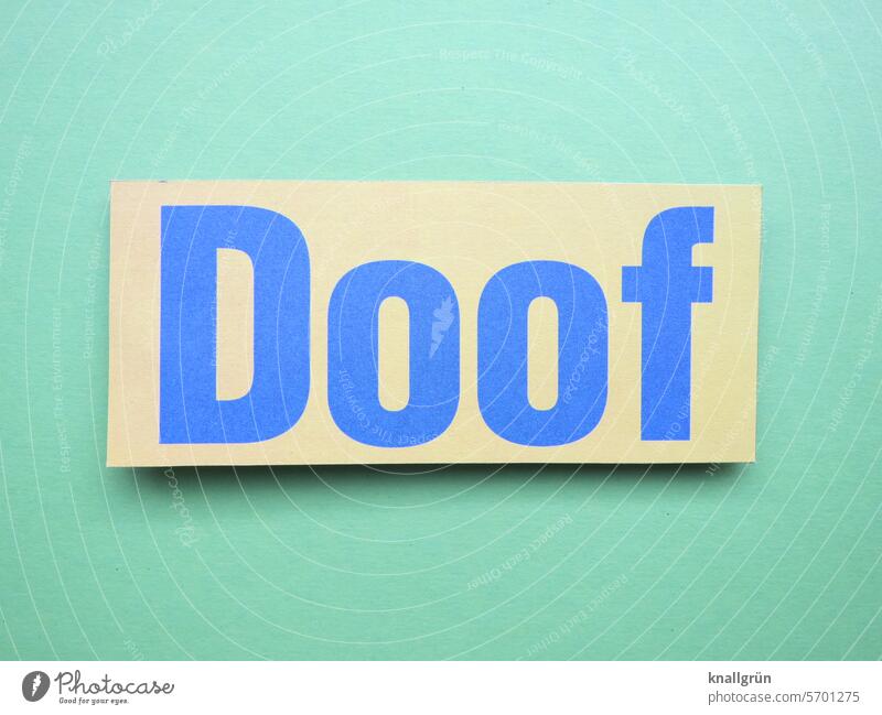 goof Goofy Text Stupid Colour photo Characters Deserted Neutral Background Communicate Studio shot Isolated Image Signs and labeling Emotions Sharp-edged Green