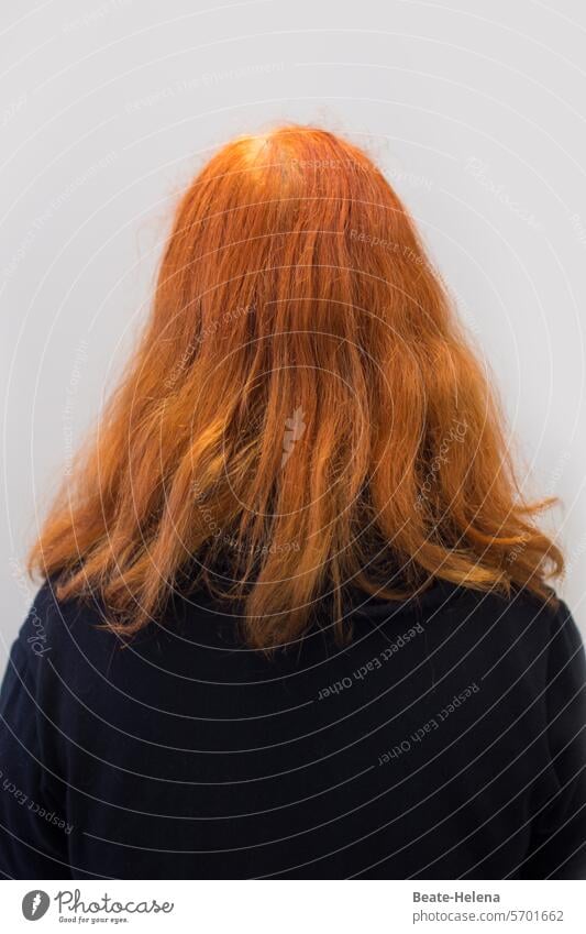 look back Woman Back of the head Red-haired Long-haired Review Hair and hairstyles Feminine Adults Rear view Neutral Background Head Human being Meditative