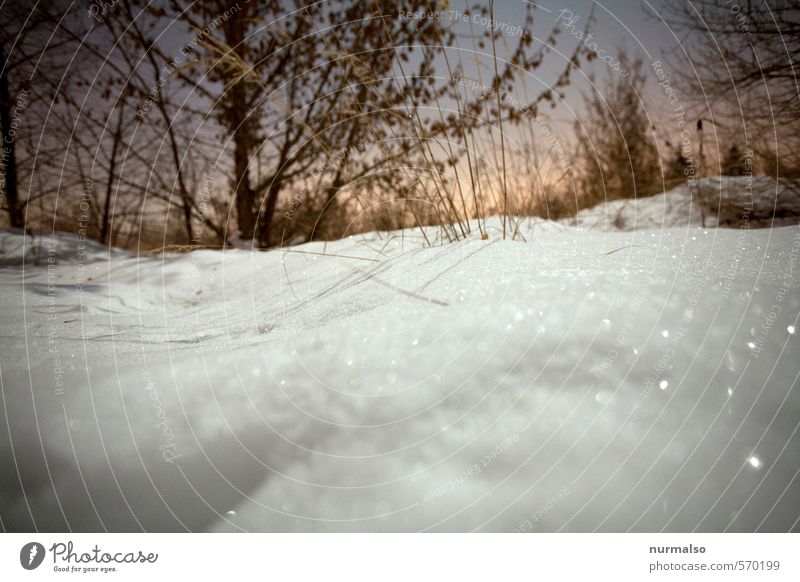 A fall that turned into winter. - a Royalty Free Stock Photo from Photocase