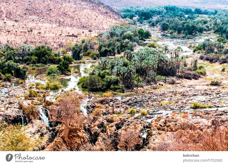 epupa if Warmth Sky especially Adventure Vacation & Travel Landscape Nature Wanderlust Namibia Africa Dry aridity Drought Climate change epupafalls Tree River