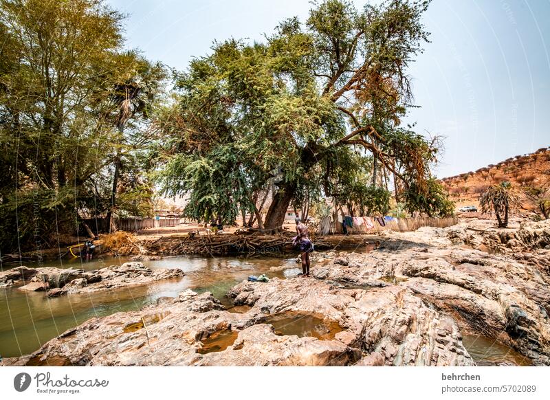 epupa if Warmth Sky especially Adventure Vacation & Travel Landscape Nature Wanderlust Namibia Africa Dry aridity Drought Climate change epupafalls Tree River