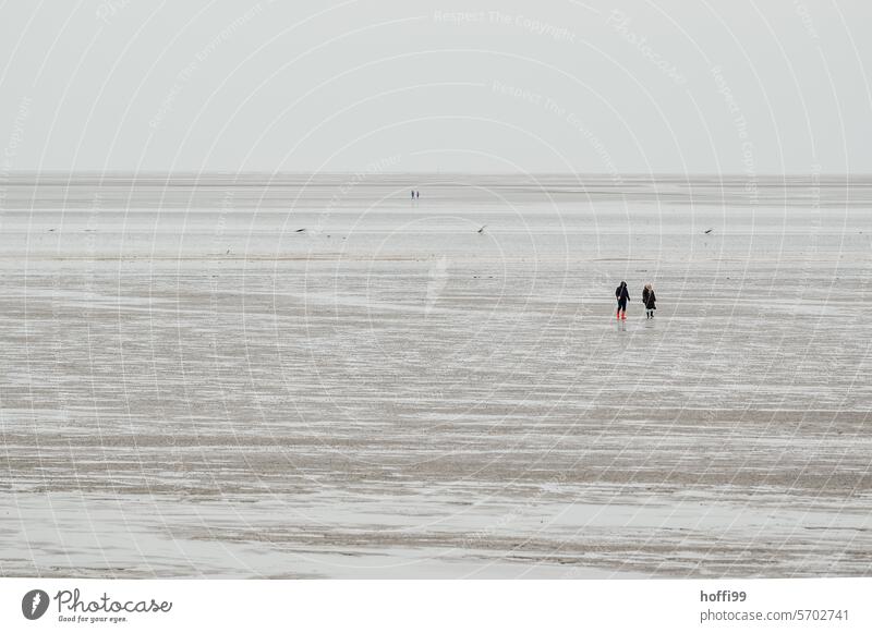 People go for a walk in the Wadden Sea at low tide - the weather is hazy, overcast and cold Wadden Sea on the North Sea coast Mud flats mudflat hiking tour