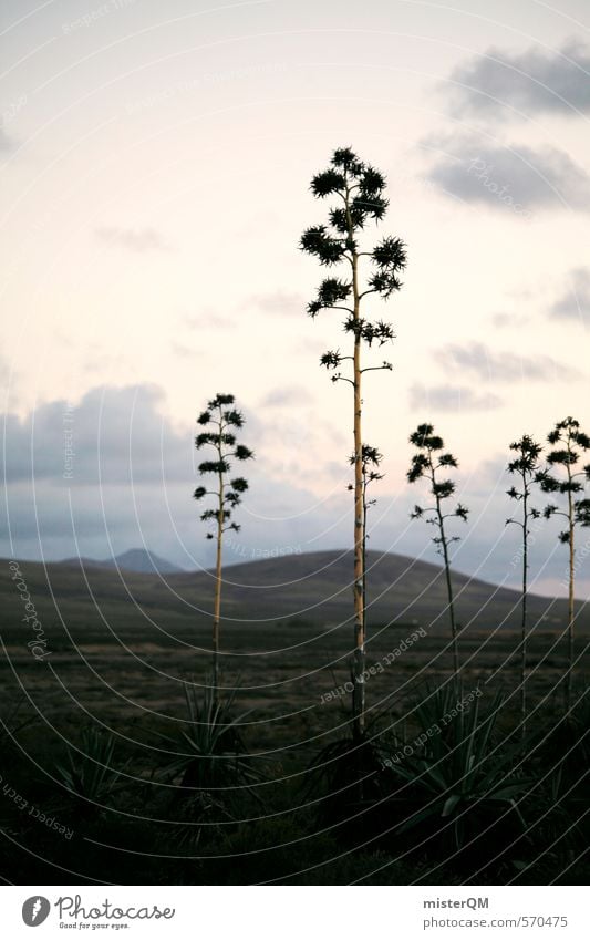 I.love.FV XVI Art Esthetic Landscape Land Feature Plant Steppe Fuerteventura Spain Cactus Blossom Wanderlust Primitive times Dinosaur Colour photo