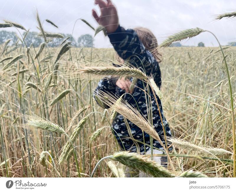 Child runs through the cornfield Infancy Cornfield Grain Ear of corn spike field Summer cloudy Hide ashamed Shame Discover Nature Field Agriculture Growth Tall