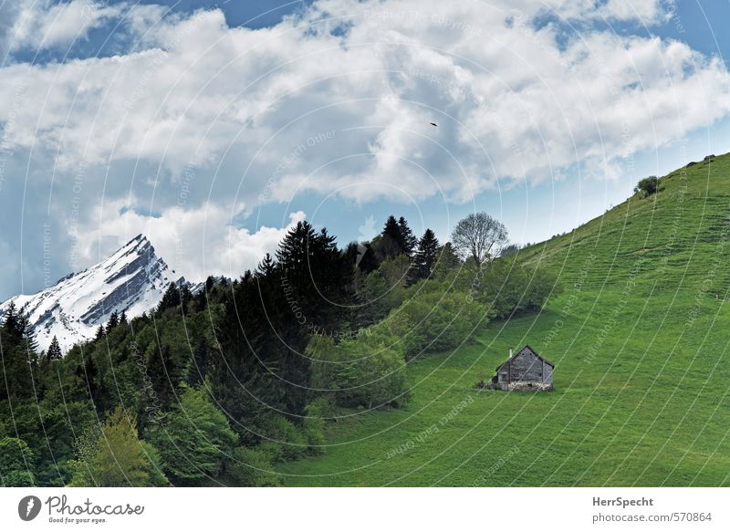 Heidiland Environment Nature Landscape Sky Clouds Snow Forest Hill Rock Alps Mountain Snowcapped peak Switzerland House (Residential Structure) Hut Fresh