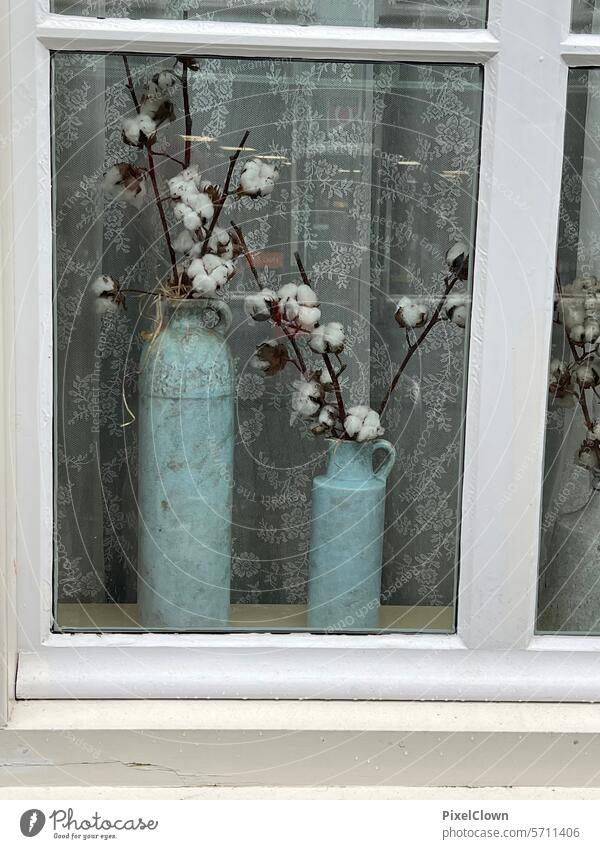 Blue vase with dried flowers in the window natural light romantic petals daylight Natural color spring flowers Nature Romance