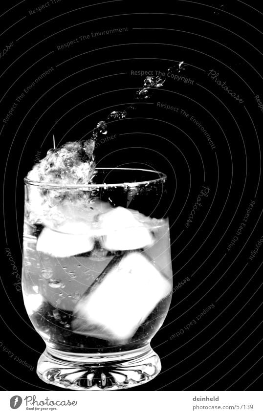 ice cubes Ice cube Inject Mineral water Water Drops of water Glass Black & white photo