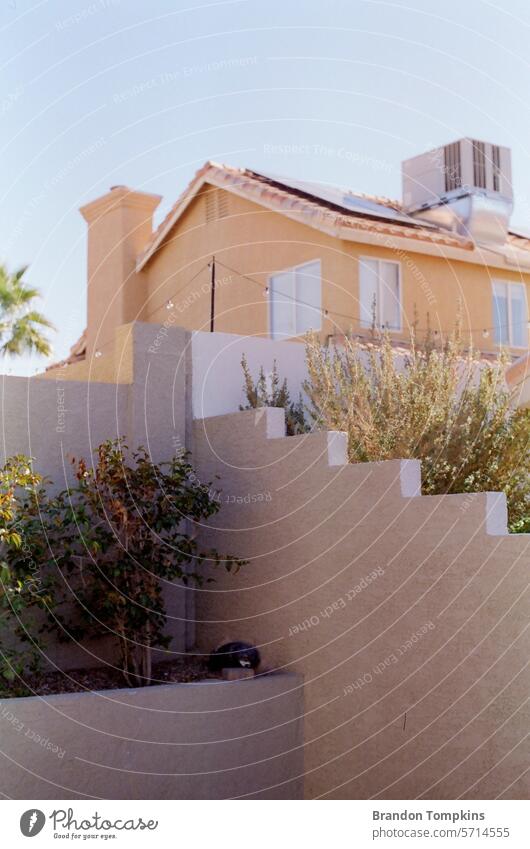 photo of wall steps with beautiful colorful plants surrounding it. texture shape lines background