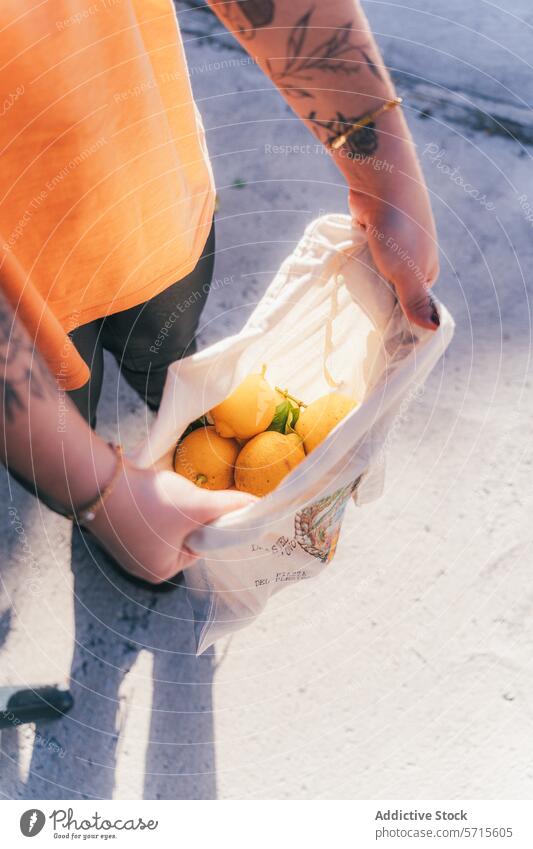 Anonymous harvesting fresh lemons in a home garden picking ripe fabric bag fruit citrus hand tattoo outdoor sunlight summer agriculture freshness healthy