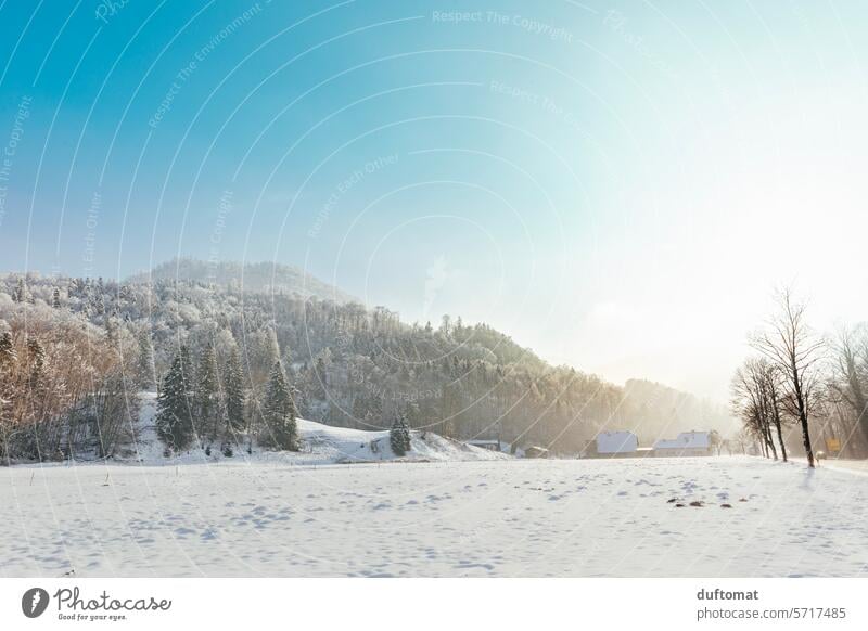 Sunny winter landscape in Berchtesgadener Land, Bavaria Winter Landscape Landscapes Snow Mountain Sky Alps Peak Snowcapped peak Exterior shot Deserted