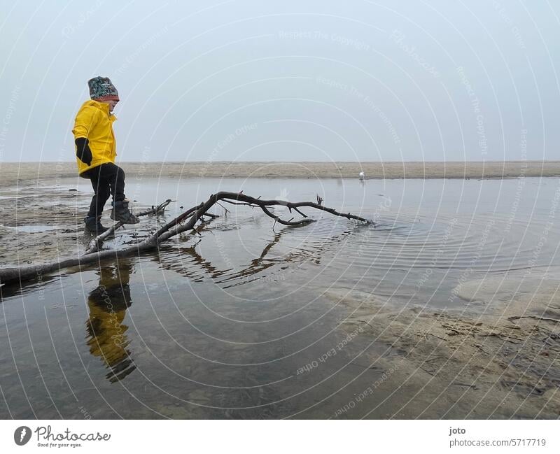 Child playing on the beach with a branch on a foggy day Autumn Autumnal autumn atmosphere Gray somber Dreary Bad weather Lines and shapes Exterior shot