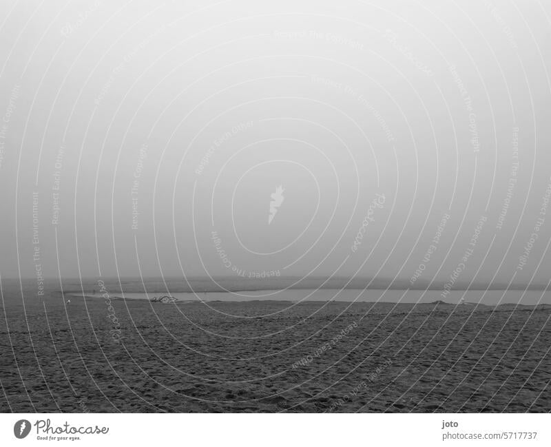 Wall of fog on the beach Autumn Autumnal Dreary Exterior shot Nature Gloomy October November November weather october weather Sadness Maritime Baltic Sea