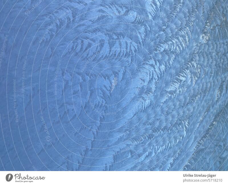 Ice lines on the window | blue morning hour | ice art Frostwork Ice Flower Frozen Cold Crystal structure Ice crystal Freeze chill ice crystals Pattern