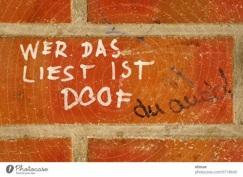 On a brick wall it says WER DAS LIEST IST DOOF and: you too Whoever reads that is stupid. Daub be stupid Communication Goofy Communicate Emotions Kids' stuff