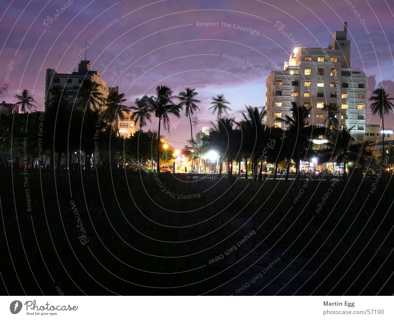 Miami Beach Florida Vacation & Travel Sunset Art deco Palm tree south beach Architecture