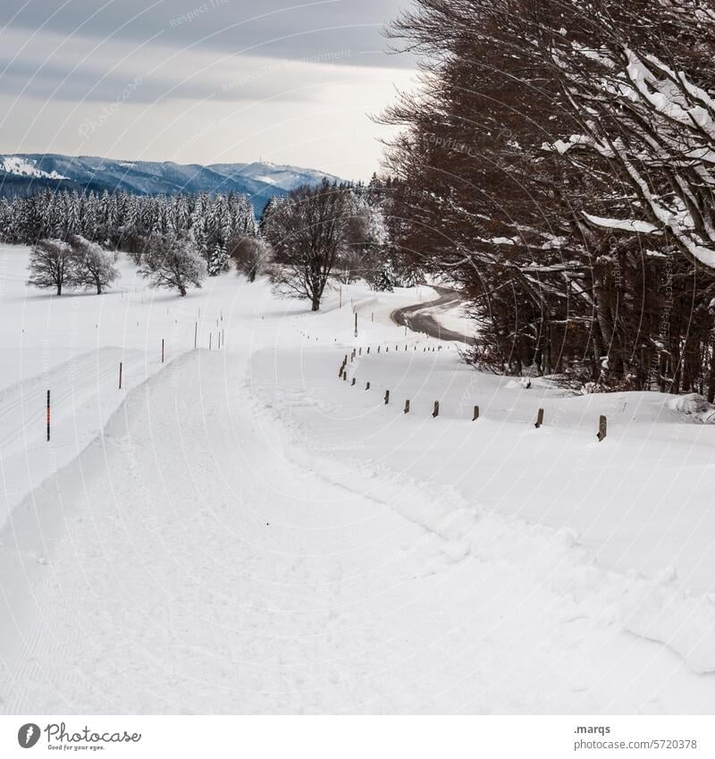 path Cold Simple Lanes & trails Traffic infrastructure Forest Snow Winter Sky Winter vacation Trip Target Adventure Vacation & Travel Landscape Nature