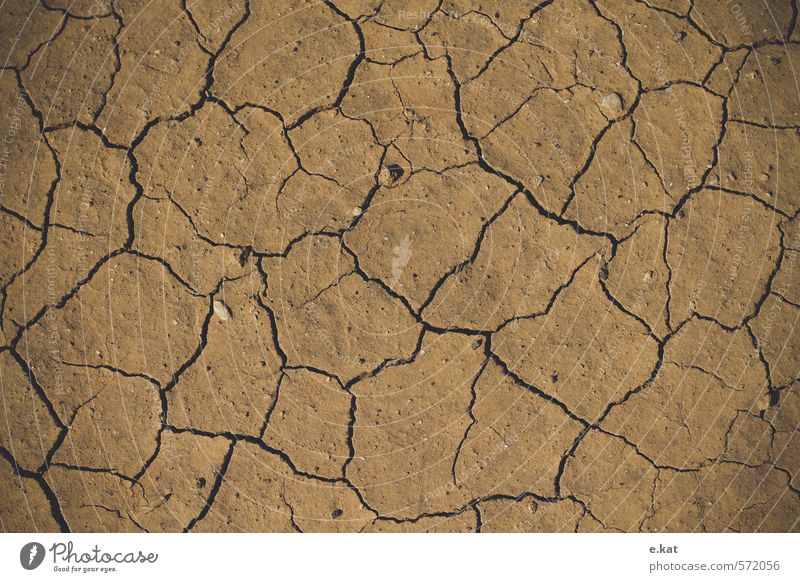 arid Nature Earth Summer Climate change Drought Beach Exhaustion Colour photo Exterior shot Deserted Copy Space left Copy Space right Copy Space top