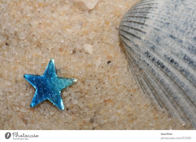 beach Beach Mussel Grain of sand Vacation & Travel Star (Symbol)