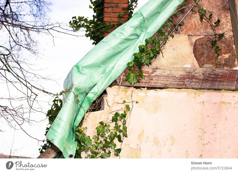 dilapidated building with tarpaulin and tendril Tumbledown leaky Chimney Tendril Overgrown in need of renovation Facade Building living space