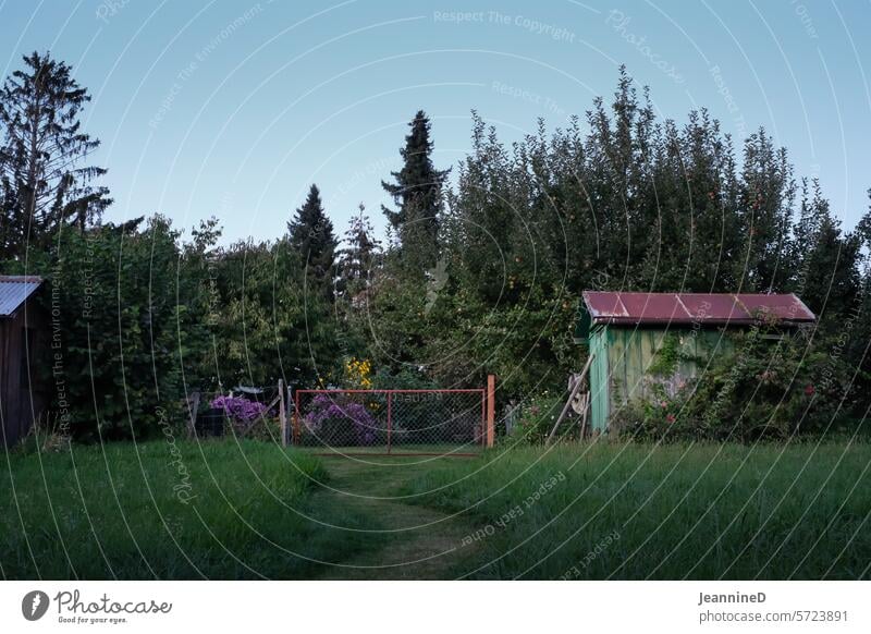 Path to the garden with garden shed Garden Garden plot allotment Gardenhouse Tool Shed Green Lanes & trails off Relaxation Nature Nature reserve Love of nature