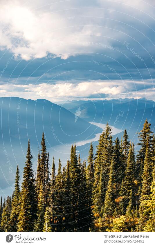 Peaky mountain that looks like the Matterhorn Mountain Canada Tourism hike Sky Landscape Hiking Nature Summer Forest sunny Moody Clouds Lake Exterior shot Water