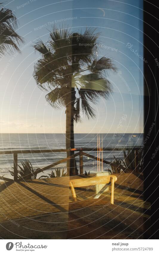 Palm tree and sea horizon reflected in the window pane of an empty restaurant Nature Ocean Horizon Sky Blue sky Beautiful weather Summer warm coast vacation