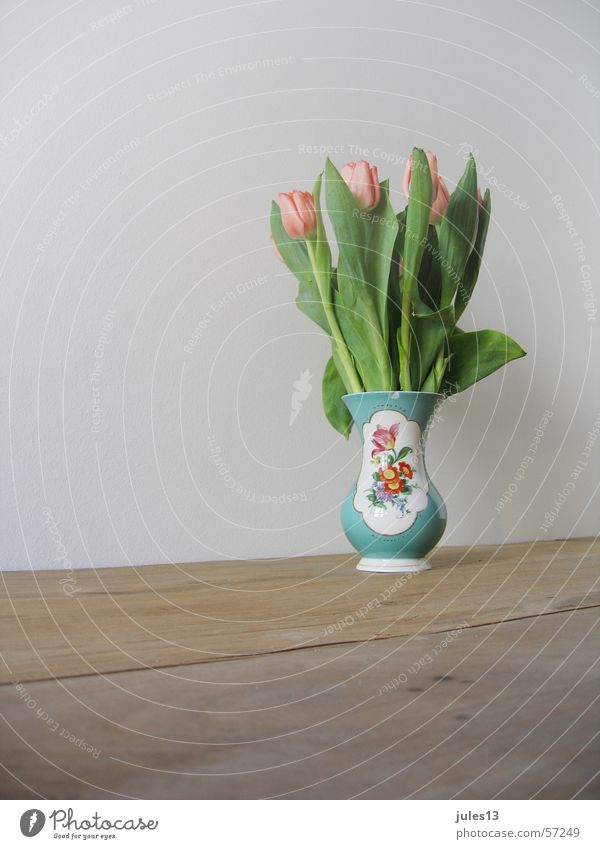 spring Tulip Vase Flower Wall (building) White Table Wood Green Multicoloured brown. cut Kitsch