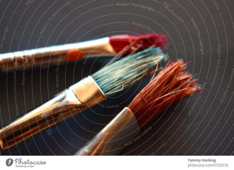 3 paintbrushes laying on a coloured background after finishing painting Colour Multicoloured Art Creativity Paintbrush Colour photo Close-up Painting equipment