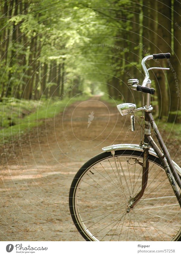 bicycle excursion Colour photo Exterior shot Deserted Copy Space left Day Shallow depth of field Relaxation Calm Vacation & Travel Trip Bicycle Nature Spring