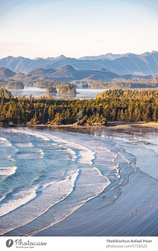 Bay with small islands in the background - lots of surfers in the water Wild grow together cox bay Vancouver Island trees Tree Ocean White crest Waves Canada