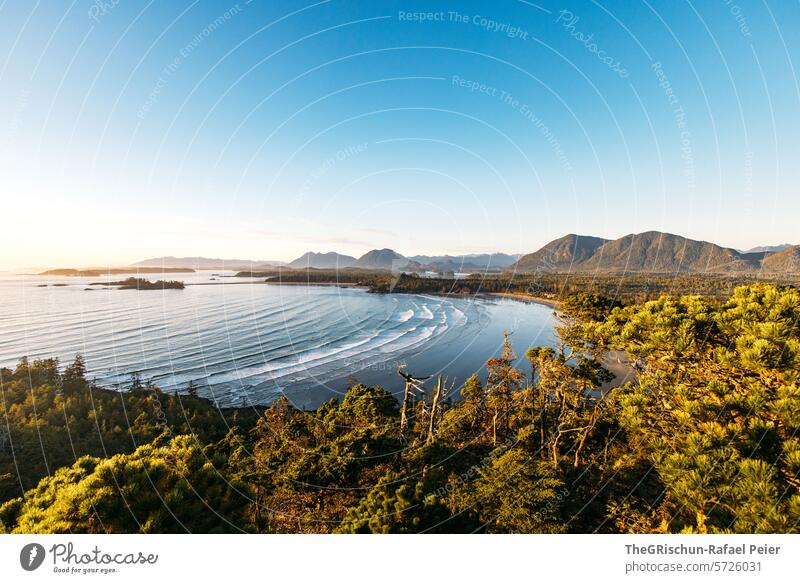 Bay with small islands in the background - lots of surfers in the water Wild grow together cox bay Vancouver Island trees Tree Ocean White crest Waves Canada