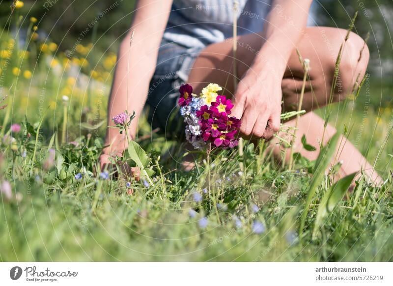 Young woman picking red clover and meadow flowers in the garden in the spring sun for cooking with blossoms Eating Nature Meadow flower meadow plants Garden