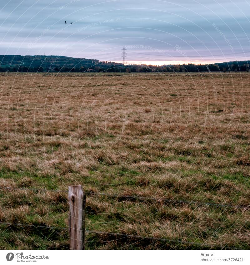 melancholy Field Rural lowland removed agriculturally Arable land far off wetland usable area Meadow Damp Deserted Plain Flat Grass Landscape just