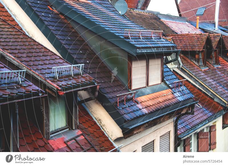 Lookouts Red Old Architecture Small Town Roof Window Old building Dormer Old town Tiled roof Southern Germany Historic Pitch of the roof Roofing tile obliquely
