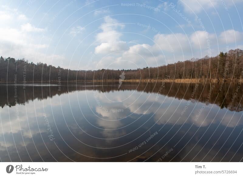 a small lake in Brandenburg in which the sky is reflected Lake Winter Colour photo Reflection Water Nature Exterior shot Calm Lakeside Landscape Sky Deserted