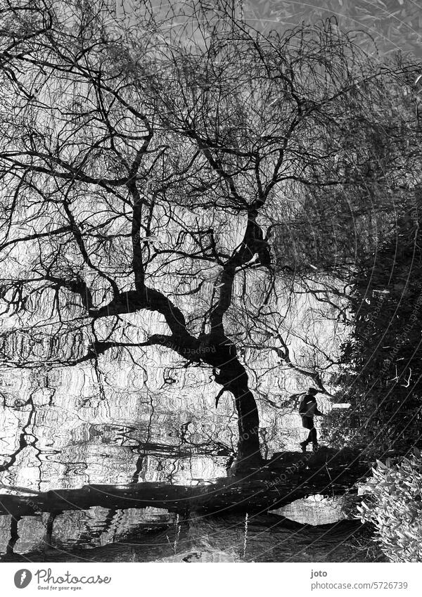 Reflection of a tree and a child in the water reflection Reflection in the water Autumn Autumnal autumn atmosphere Black & white photo Silhouette Shadow play