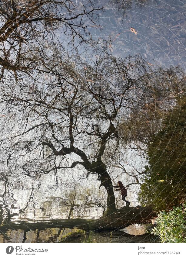 Reflection of a tree and a person in the water reflection Reflection in the water Autumn Autumnal autumn atmosphere Black & white photo Silhouette Shadow play