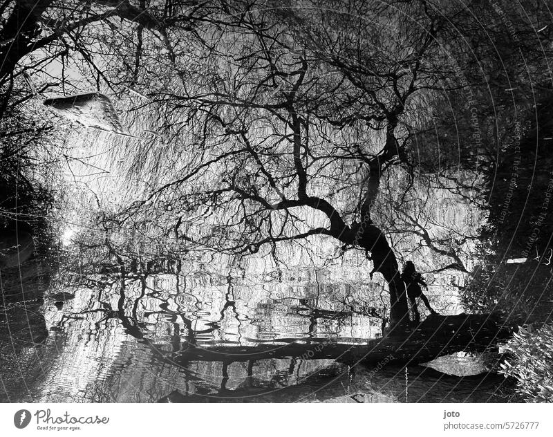 Reflection of a tree and a child in the water reflection Reflection in the water Autumn Autumnal autumn atmosphere Black & white photo Silhouette Shadow play